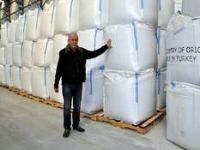 Bergama Madencilik, İhracatı Yükseltiyor