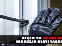 Geçen Yıl 73 Bin 861 Hırsızlık Olayı Yaşandık