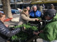 Foça Belediyesi’nden Vatandaşlara Sevgililer Günü Çiçeği