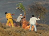 Karaköy’ü Rüzgar Kurtardı