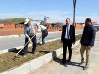Eski Manisa Yolu Büyükşehir’le Çiçek Açtı
