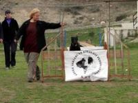 Can Dostların Hayat Kurtarma Sınavı