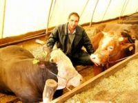 Aliağa’da Kurbanlık Satış Yeri