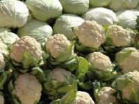 Mart/1 İzmir Sebze,Meyve Fiyatları