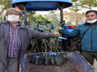 Aliağa Belediyesi’nden Tarımsal Kalkınmaya Destek