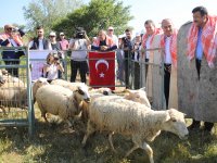 Bergama'da hayvan otlatma sezonu açılışına muhteşem tören