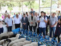 Aliağa’da Yavru Ölümlerine Karşı Aşı Kampanyası Başladı