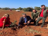 Çeşme Sakızının Kıbrıs’a Yolculuğu