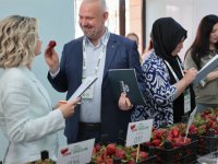 Emiralem Çilek Festivali'ne rekor ziyaretçi!
