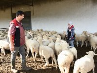 Aliağa’da Üreticiye Destek Sürüyor