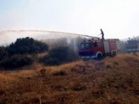 Aliağa’da Orman Yangını
