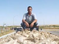 Pancar Çiftçisine Kayıp Uyarısı