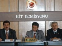 Petkim’in 2004 Hesapları Tamam