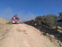 Aliağa Nemrut Sanayi Bölgesi’nde Yangın