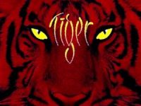 Logo, Tiger ve Shop Manager