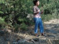 Toplu Köpek Mezarlığı