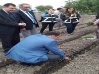Balıkesir Büyükşehir'den, Tarlalarda Şenlik Var Projesi