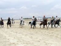 Mahalli At Yarışları