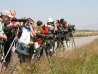 İzmir Kuş Cenneti’nde Foto Safari Zamanı