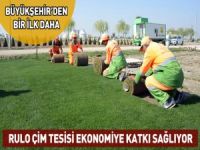 Rulo Çim Tesisi Ekonomiye Katkı Sağlıyor