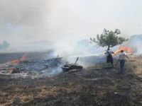 Aliağa'da Yangın Korkuttu