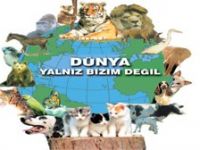 Dünya Hayvan Hakları Günü