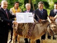 Eşekler Emekliye Ayrıldı