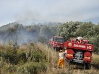 Foça'da orman Yangını