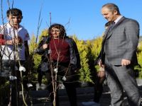 Menteşe Çiçek Bahçesinde, Satışlar Devam Ediyor