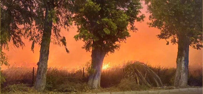 Aliağa ‘da  otluk alanda çıkan yangın evlere sıçramadan söndürüldü