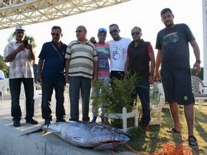 Aliağa’da Boyu Kadar Orkinos Tuttu